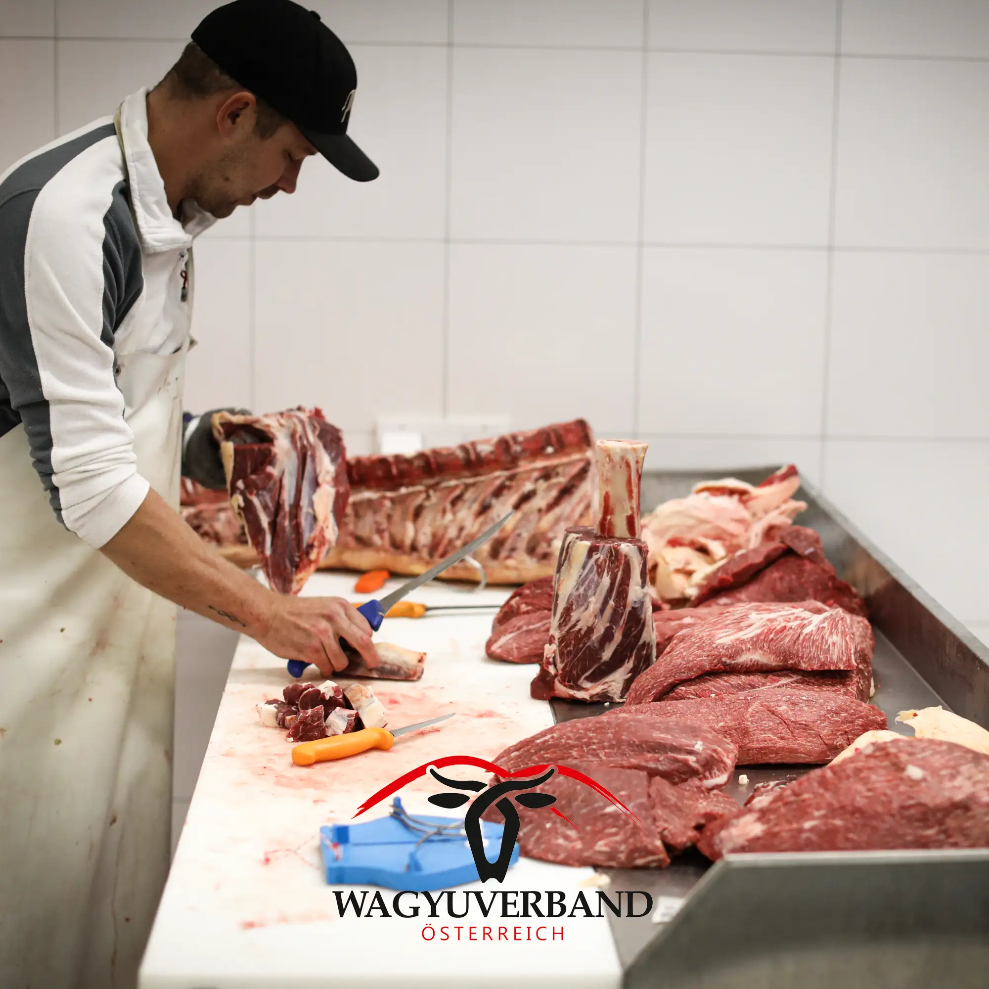 Wagyu Zerlege Kurs